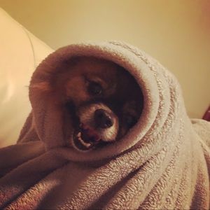 Meet your Posher, Renae